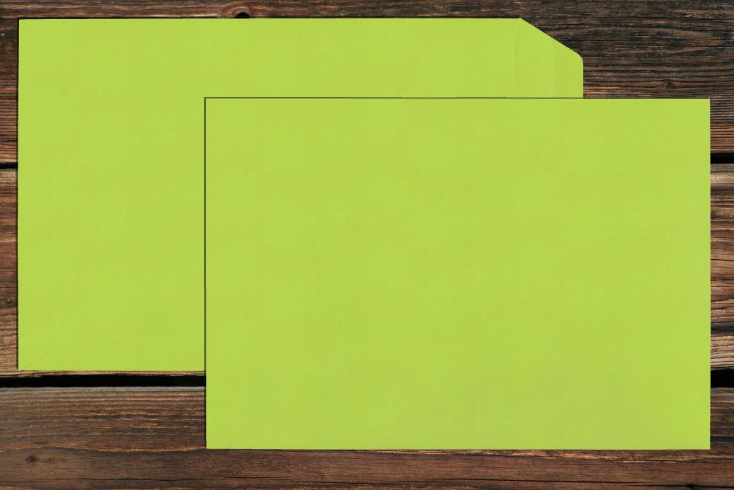 Versandtaschen 220x312 mm Nassklebend Lindgrün 120 g/qm